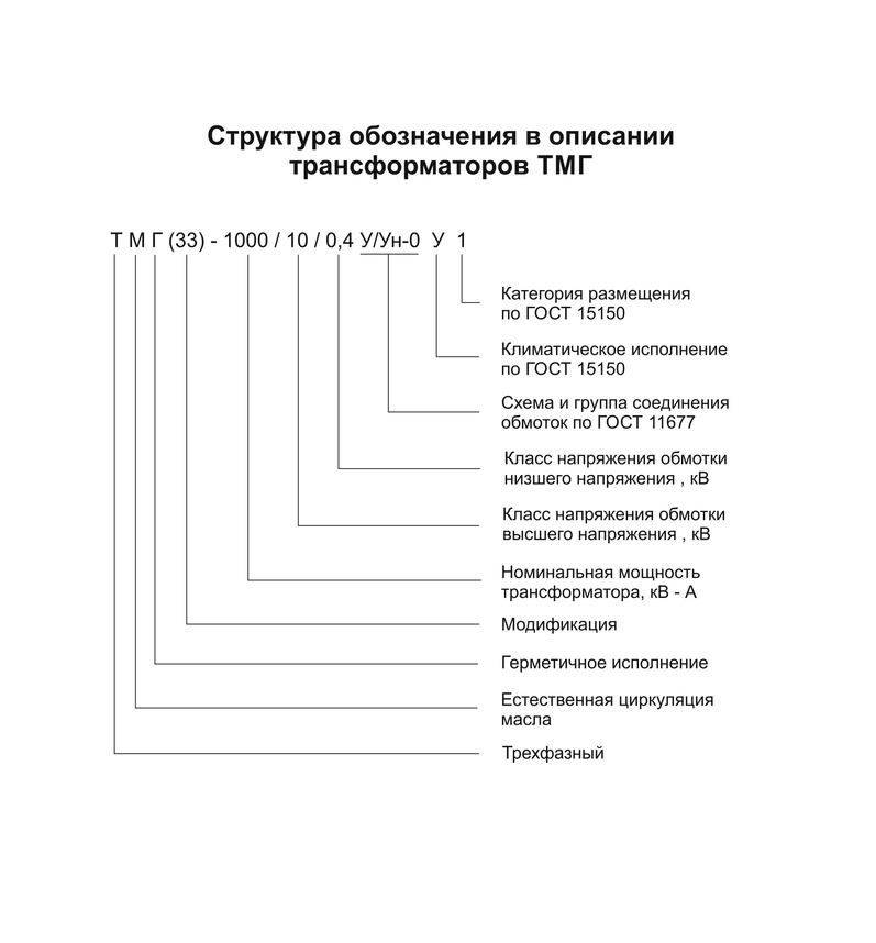 Структура обозначения в описании типа трансформаторов тока ТМГ.jpg